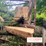 Ménagerie du Jardin des Plantes 2024 - nos photos - image00003