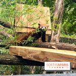 Ménagerie du Jardin des Plantes 2024 - nos photos
