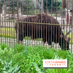 Ménagerie du Jardin des Plantes 2024 - nos photos
