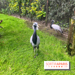 Ménagerie du Jardin des Plantes 2024 - nos photos - image00007