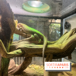 Ménagerie du Jardin des Plantes 2024 - nos photos - image00022