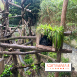 Ménagerie du Jardin des Plantes 2024 - nos photos