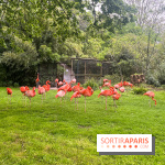 Ménagerie du Jardin des Plantes 2024 - nos photos