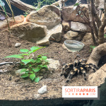 Ménagerie du Jardin des Plantes 2024 - nos photos