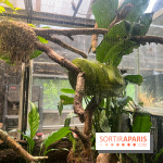 Ménagerie du Jardin des Plantes 2024 - nos photos