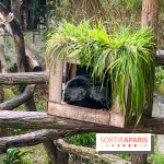 Ménagerie du Jardin des Plantes 2024 - nos photos