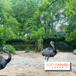 Ménagerie du Jardin des Plantes 2024 - nos photos