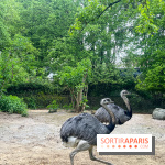 Ménagerie du Jardin des Plantes 2024 - nos photos