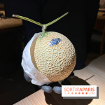 Marie Akaneya - Crown melon