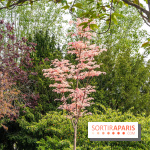 Parc de Choisy - Paris 13e