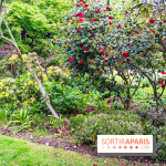 Parc de Choisy - Paris 13e -  A7C1232