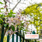 Parc de Choisy - Paris 13e -  A7C1233