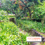 Parc de Choisy - Paris 13e -  A7C1234