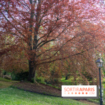 Parc du Dr Fauvel à Villennes sur Seine, grotte et cascades -  A7C1765 HDR