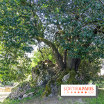 Parc du Dr Fauvel à Villennes sur Seine, grotte et cascades