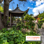 Jardin Yili, le jardin chinois caché dans les Yvelines -  A7C2187
