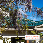 Jardin Yili, le jardin chinois caché dans les Yvelines -  A7C2197