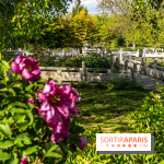 Jardin Yili, le jardin chinois caché dans les Yvelines -  A7C2248