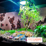 Arabofuturs : l'exposition entre science-fiction et prédictions à l'Institut du Monde Arabe - photos - IMG20240422101345