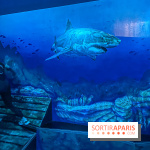 Nikito Domus : l'espace de loisirs immersif à Rosny-sous-Bois - IMG 6218