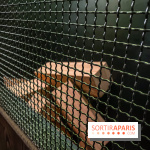 Nikito Domus : l'espace de loisirs immersif à Rosny-sous-Bois - IMG 6234