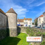 Château de Dourdan - nos photos - image00039