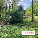 Le parc Lejars-Rouillon - nos photos - image00004