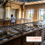 La Galerie de Paléontologie et d'Anatomie comparée du Muséum au Jardin des Plantes -  A7C7465