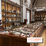La Galerie de Paléontologie et d'Anatomie comparée du Muséum au Jardin des Plantes