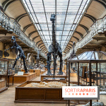La Galerie de Paléontologie et d'Anatomie comparée du Muséum au Jardin des Plantes