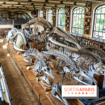La Galerie de Paléontologie et d'Anatomie comparée du Muséum au Jardin des Plantes