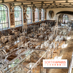 La Galerie de Paléontologie et d'Anatomie comparée du Muséum au Jardin des Plantes