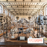 La Galerie de Paléontologie et d'Anatomie comparée du Muséum au Jardin des Plantes