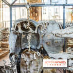 La Galerie de Paléontologie et d'Anatomie comparée du Muséum au Jardin des Plantes -  A7C7484