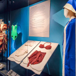 La mode en mouvement, deuxième partie :  l'exposition qui mêle sport et mode au Palais Galliera - IMG20240425121920