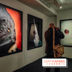 Andres Serrano - Portraits de l'Amérique : l'exposition photo se dévoile au Musée Maillol