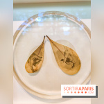 Natures vivantes : l'exposition photo qui met à l'honneur les jardins du musée Albert Kahn - photos