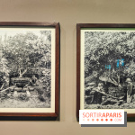 Natures vivantes : l'exposition photo qui met à l'honneur les jardins du musée Albert Kahn - photos