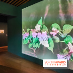 Natures vivantes : l'exposition photo qui met à l'honneur les jardins du musée Albert Kahn - photos