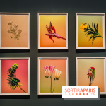 Natures vivantes : l'exposition photo qui met à l'honneur les jardins du musée Albert Kahn - photos