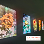 Natures vivantes : l'exposition photo qui met à l'honneur les jardins du musée Albert Kahn - photos