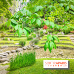 Natures vivantes : l'exposition photo qui met à l'honneur les jardins du musée Albert Kahn - photos