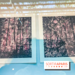 Natures vivantes : l'exposition photo qui met à l'honneur les jardins du musée Albert Kahn - photos