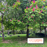 Jardin Villemin - nos photos