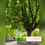 Jardin Villemin - nos photos