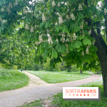 Le parc de Bois-Préau - nos photos