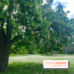 Le parc de Bois-Préau - nos photos - image00004