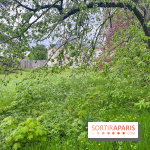 Le parc de Bois-Préau - nos photos - image00001