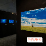 Reflets de la nature, nos photos de l'exposition - 20240507 141333