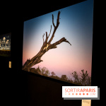Reflets de la nature, nos photos de l'exposition